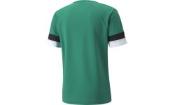 Puma vīriešu futbola krekls TeamRise Green 704932 05