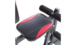 Домашний тренажерный зал inSPORTline ProfiGym N10