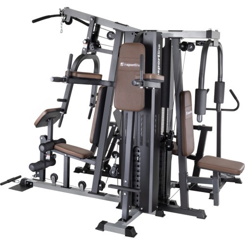 Домашний силовой тренажер inSPORTline Profigym C300