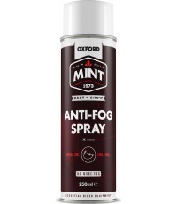 Спрей против запотевания Mint 250 мл с аппликатором