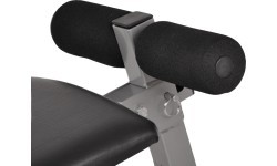 Slanted Workout Bench inSPORTline
