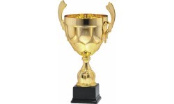 Trophy 9046 - 43cm - Gold