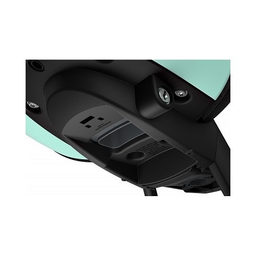 Front Child Bike Seat Thule Yepp Nexxt Mini Mint Green