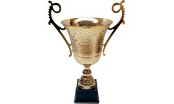 Trophy 5010 - 60cm - Gold