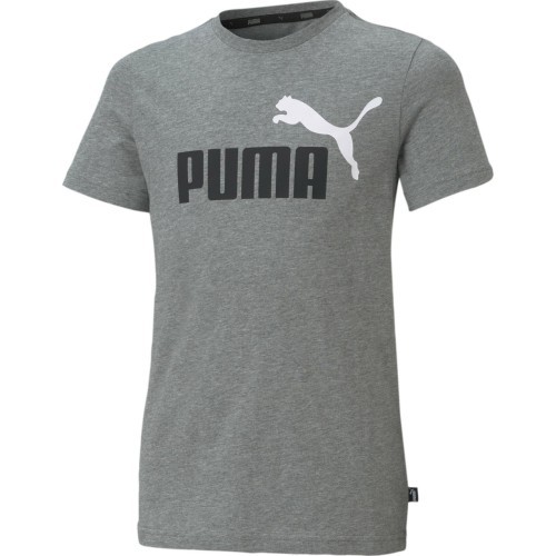 Puma Ess+ 2 Col Logo Tee Junior Grey 586985 03