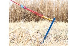BasicNature telts miets "Steady"