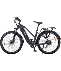 Beaster BS114G electric bike, 250 W, grey