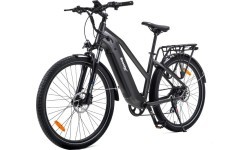Elektriskais velosipēds Beaster BS114G, 250 W, pelēks