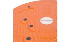 Twister inSPORTline Magnetic - černá-antracit