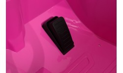 Audi RS6 Avant GT Pink Vehicle