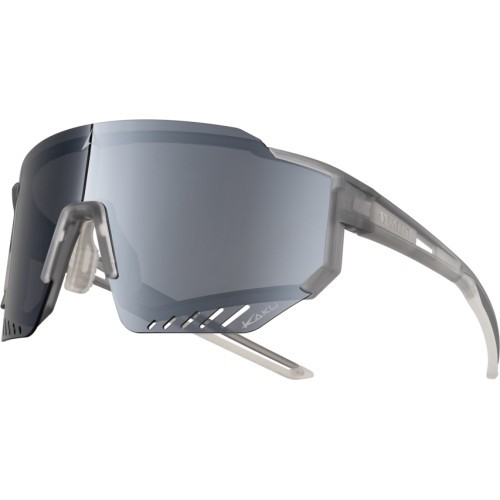 Polarized Sunglasses Altalist Kaku SP1 - grey with silver lenses