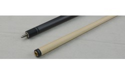 Buffalo Ionics pool cue 2