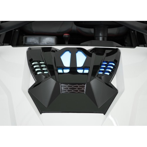 Bagijs RTR Monster Speed 4x4 balts