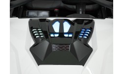 Bagijs RTR Monster Speed 4x4 balts