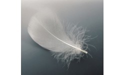 Зонт EuroSchirm 'Swing Liteflex'
