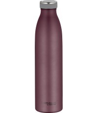 Термобутылка «TC Bottle»