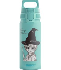 Алюминиевая бутылка для воды SIGG 'WMB One'