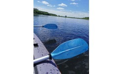 Double Paddle BasicNature 230 cm