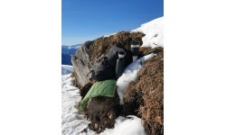Termoss Origin Outdoors Insulated Active, 0,75 l, melns, matēts