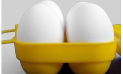 Coghlans Egg Holder