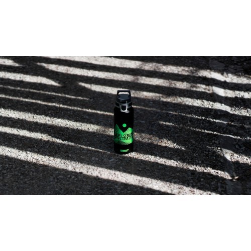 SIGG alumīnija pudele „WMB Traveller“