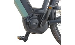 Prophete Geniesser 4.0 Electric Bike 28" 7-Speed, Frame Size 19" (48 cm), Black/Green