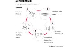 Репеллентный спрей Mugga 50% DEET 75 мл