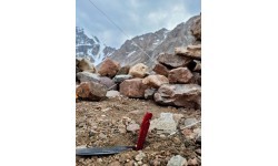 BasicNature Tent Peg 'Y-Stake Spiral'