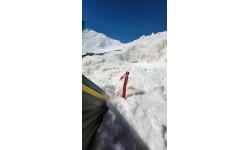 BasicNature telts miets „Y-Stake Spiral"