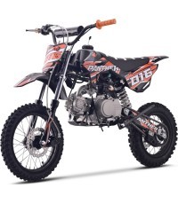 copy of PANTHER 110CC Green Combustion Engine Vehicle