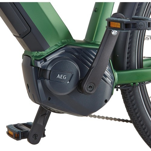 Prophete Entdecker 4.1 Electric Bike 28" // 10G, Size 20" (50 cm) (Green)