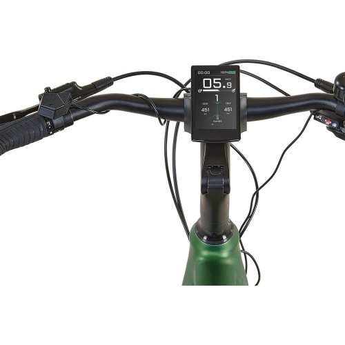 Prophete Entdecker 4.1 Electric Bike 28" // 10G, Size 20" (50 cm) (Green)