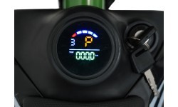 Electric Motor Vehicle POWER TRAIL Green