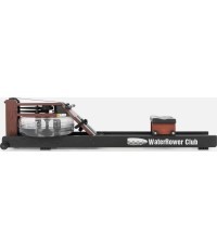 WaterRower Club airēšanas trenažieris - Standard Schienen