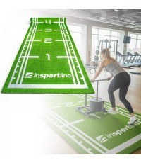 Synthetic Grass Mat inSPORTline Graspet 10.2 x 2 m