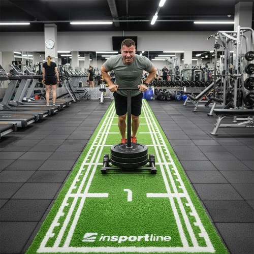 Synthetic Grass Mat inSPORTline Graspet 10.2 x 2 m