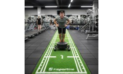 Synthetic Grass Mat inSPORTline Graspet 10.2 x 2 m