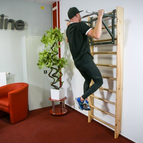Wall Bars inSPORTline Dremar 215 x 80 cm - varnished