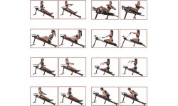 Full Body Trainer inSPORTline Omni-Fit - Black