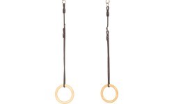 DICE gym rings wood