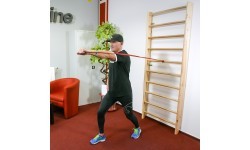 Wall Bars inSPORTline Shapemar 250 x 90 cm w/ Pull-Up Bar