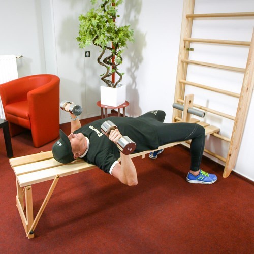 Wall Bars inSPORTline Shapemar 220 x 90 cm w/ Pull-Up Bar