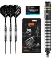 Winmau GvV TS 90% Switch Point steel tip